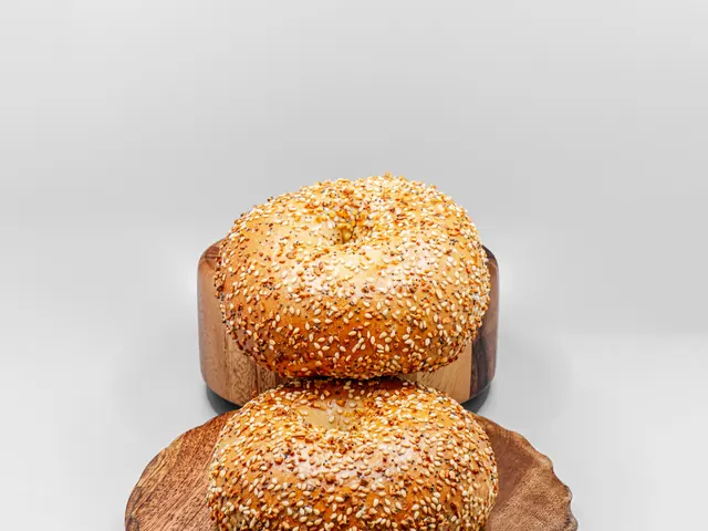 Everything Bagel from Bagel Point in Greenpoint, Brooklyn