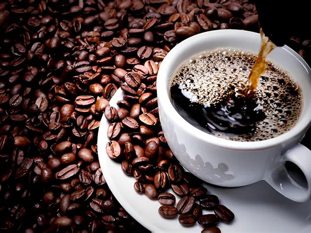 Drip Coffee from Bagel Point in Greenpoint, Brooklyn