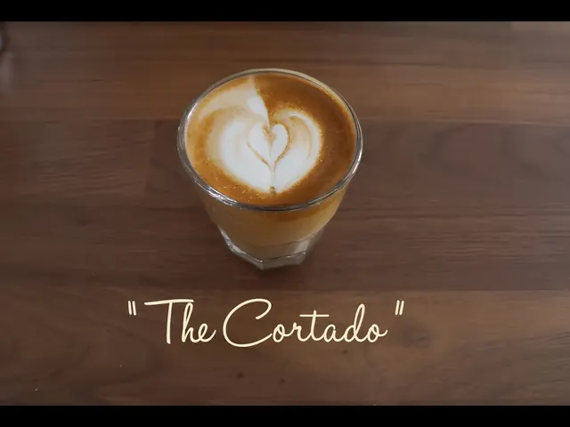 Cortado from Bagel Point in Greenpoint, Brooklyn
